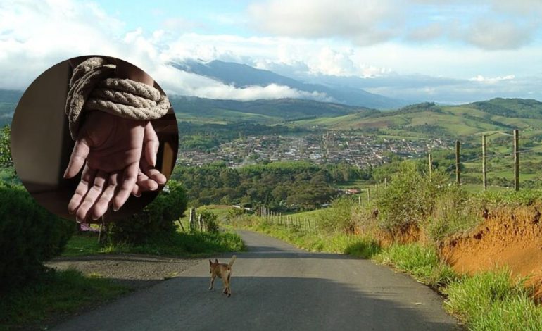 Disidentes robaron un camión con máquinas amarillas y secuestraron a su conductor y asistente

 – Primer plano