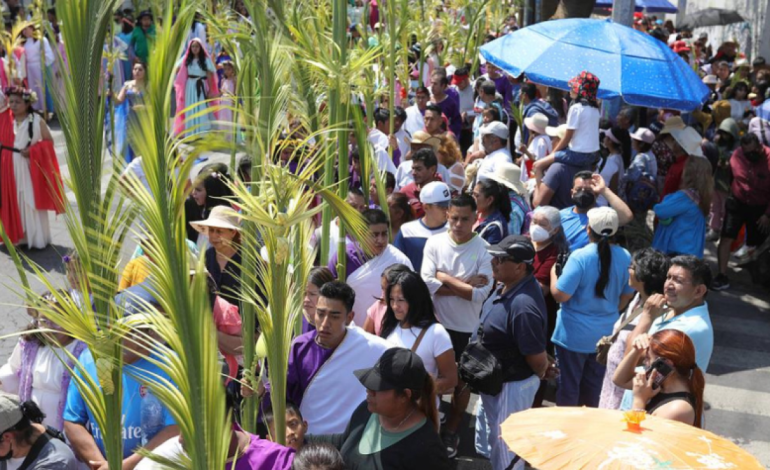 Barranquilla entregará 12.000 plantones de palma areca para el Domingo de Ramos como alternativa sustentable a la tradicional palma de cera

 – Primer plano