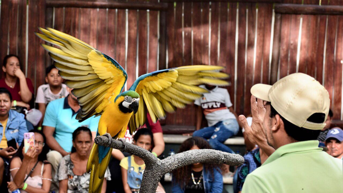 El Zoológico de Barranquilla se ha convertido en un referente del turismo de naturaleza, que incluye la conservación, educación y cría de más de 700 animales.

 – Primer plano