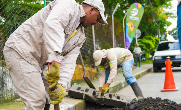 El martes 17 de marzo consulta con los distritos de mantenimiento y reparación de Emcali de Cali

 – Primer plano