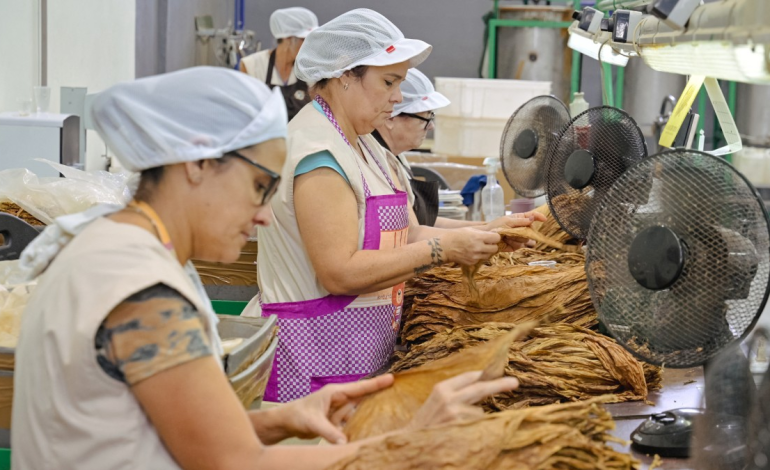 revisión del “V Informe Comercial Consolidado”

 – Primer plano