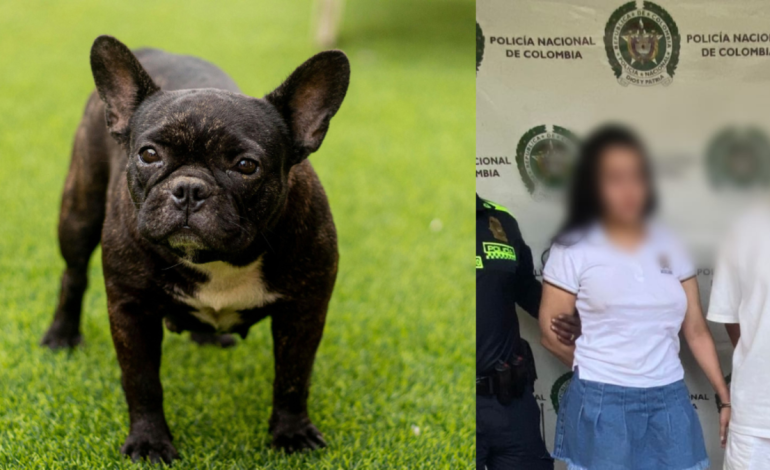Dos personas fueron arrestadas por maltrato animal

 – Primer plano