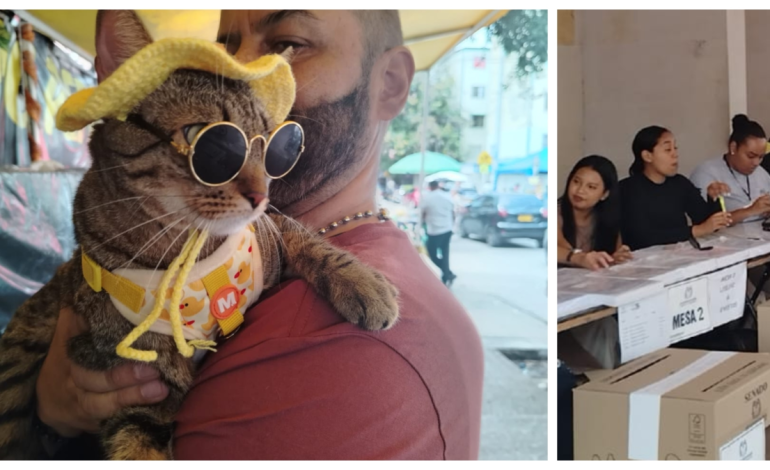 del «agosto» de taxistas y vendedores ambulantes, a las «corridas» de mascotas

 – Primer plano