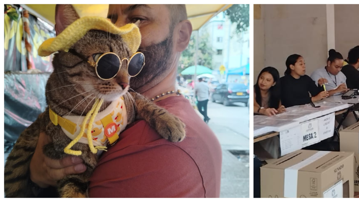 del «agosto» de taxistas y vendedores ambulantes, a las «corridas» de mascotas

 – Primer plano