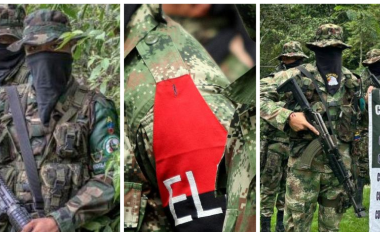 Más de 6.000 personas en el Bajo Baudó se quedan sin alimentos por el aislamiento tras el paro armado del Eln

 – Primer plano