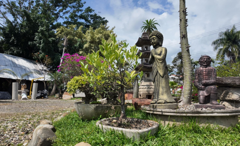¿Quién era el dueño que vivía lujosamente en el distrito sur de Cali?

 – Primer plano