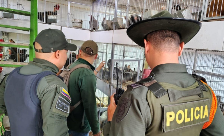 Las autoridades ambientales de California están tomando medidas contra el comercio ilegal

 – Primer plano