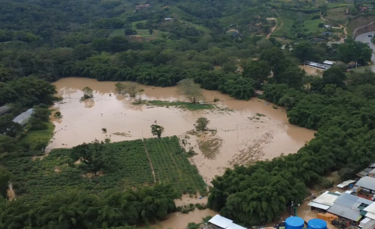 Buscan a un joven desaparecido que cruzó el río Lebrija durante fuertes lluvias y tormentas

 – Primer plano
