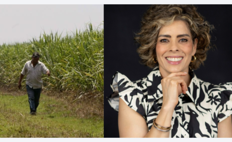 ¿Quién es y cuáles son los desafíos que enfrenta esta asociación en el Valle del Cauca?

 – Primer plano