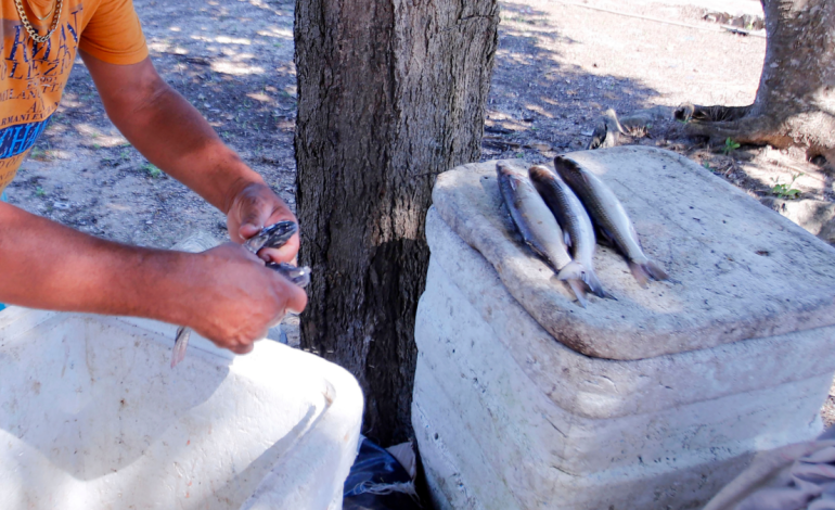 ¡Cuidado con el marisco durante Semana Santa! De esta forma, Atlántico refuerza la vigilancia sanitaria durante la temporada de mayor consumo del año

 – Primer plano