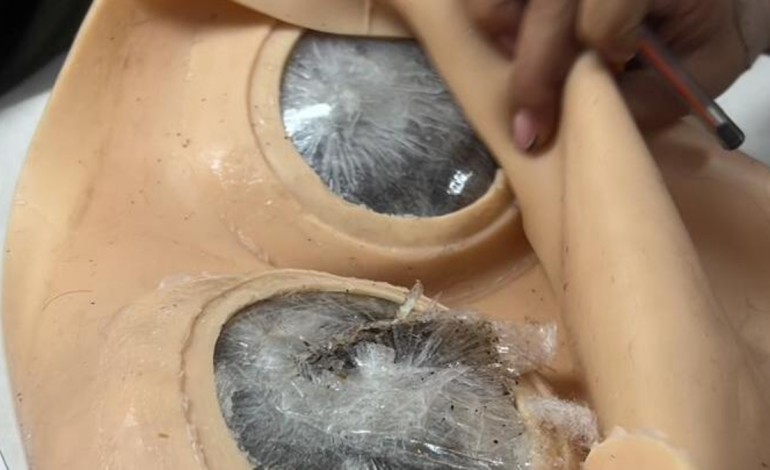 Una mujer fue sorprendida escondiendo 2,6 kilogramos de droga en un bus de Cali a Bogotá

 – Primer plano