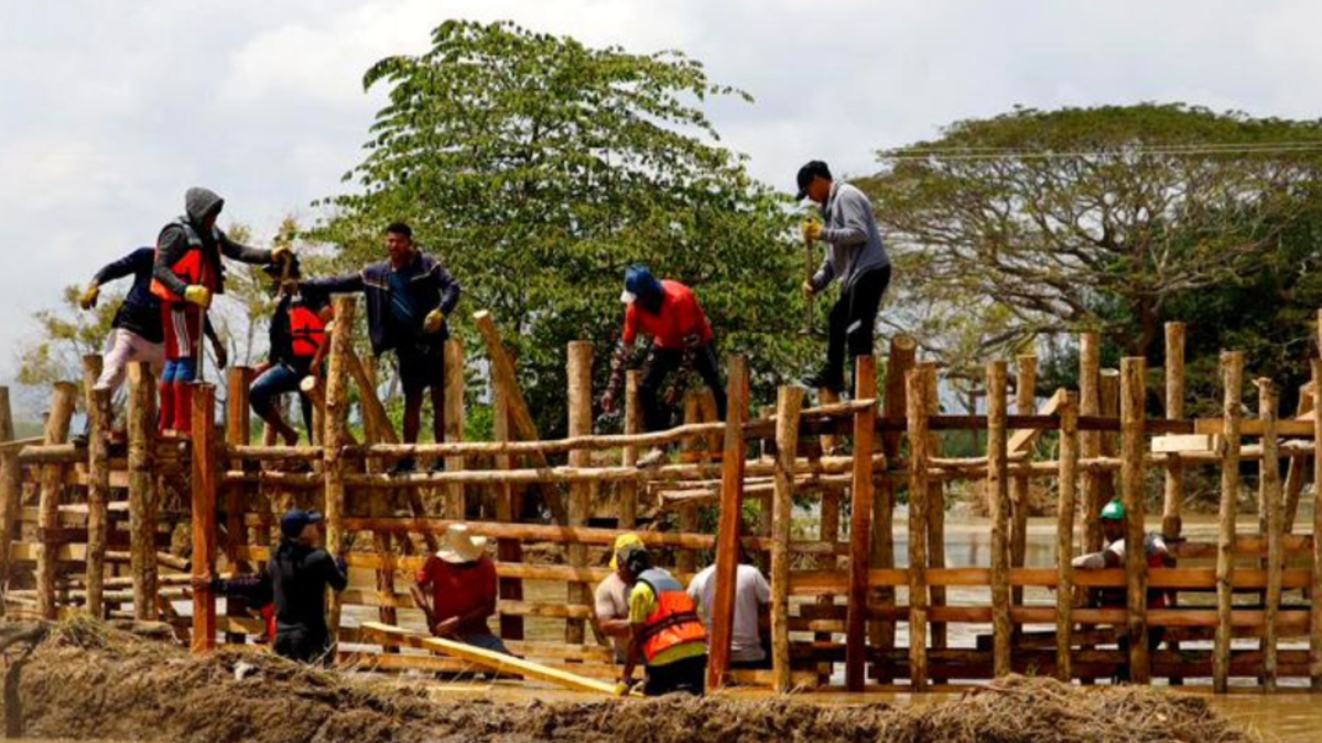 Gran donación nacional para ayudar a 80.000 familias afectadas por la enfermedad.

 – Primer plano