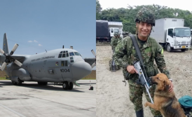 el hombre no habría entrado gracias a su perro

 – Primer plano