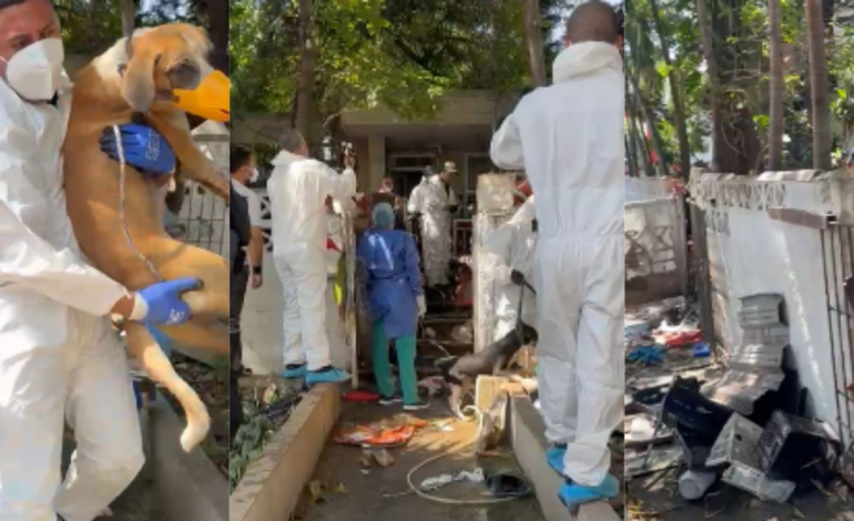 Más de 100 personas permanecen en cuarentena tras cirugía en «Casa de los Gatos»

 – Primer plano