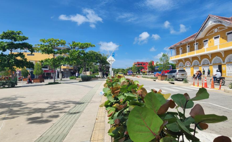 Las autoridades investigan las causas de la muerte y no descartan hipótesis

 – Primer plano