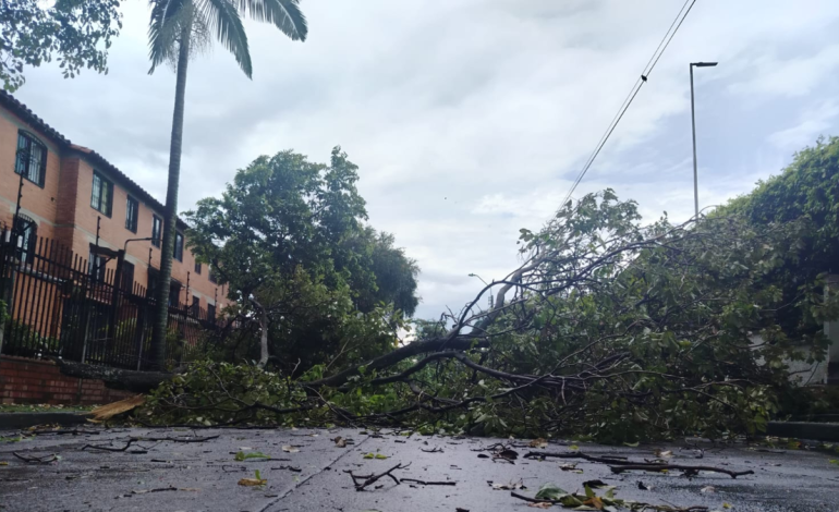 Emergencia por tormenta en Cali

 – Primer plano