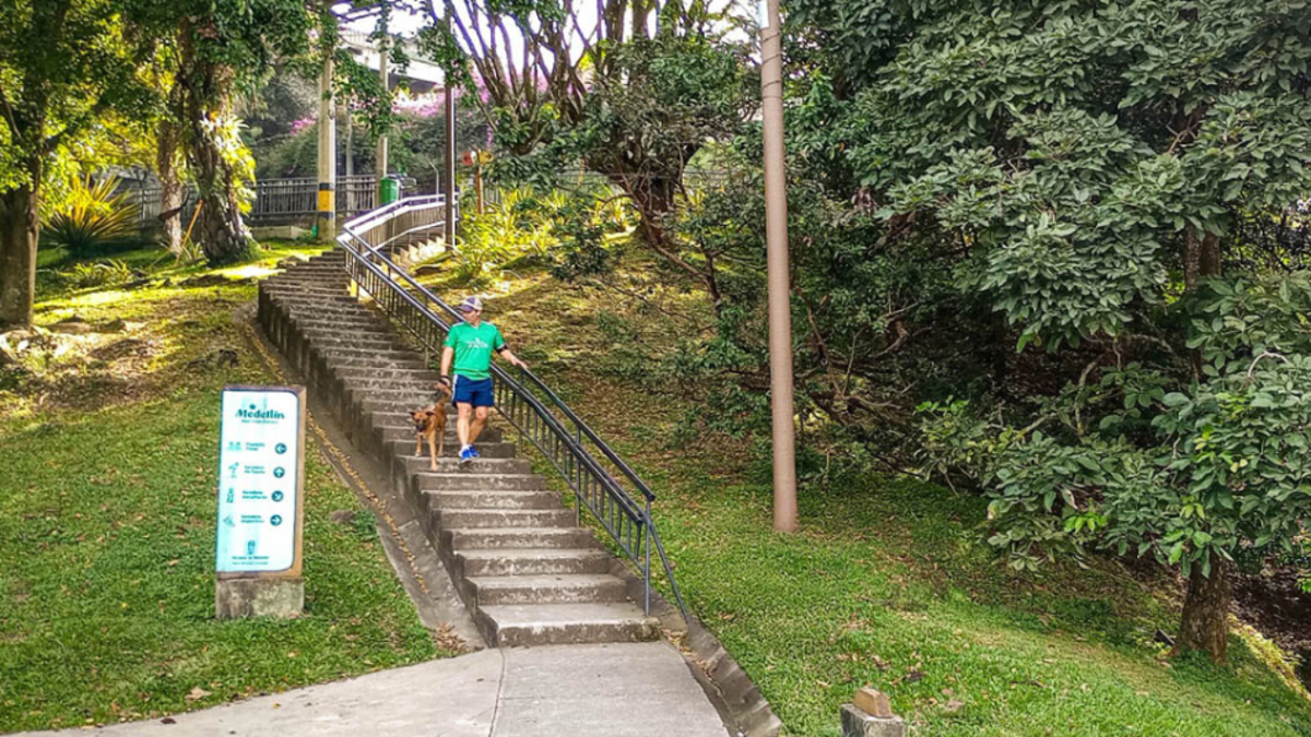 Aquí hay 90 especies de flora y 150 especies de fauna identificadas.

 – Primer plano