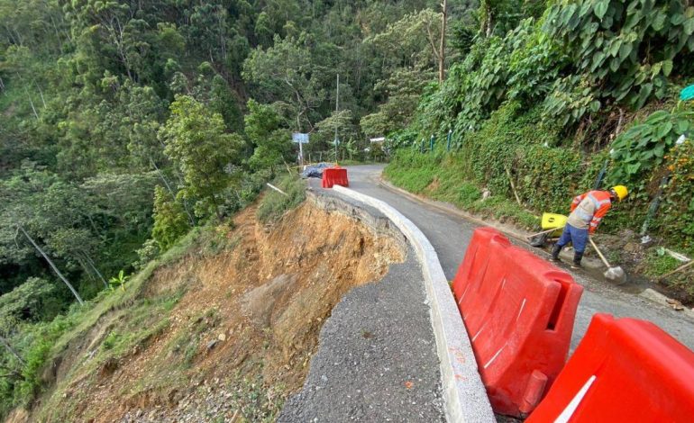 Este es un informe general para la región.

 – Primer plano