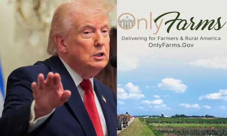 La Casa Blanca ha lanzado OnlyFarms

 – Primer plano