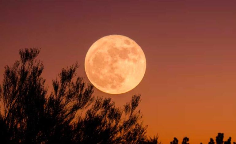 Calendario lunar para abril de 2026: la luna rosa y otros fenómenos astronómicos

 – Primer plano