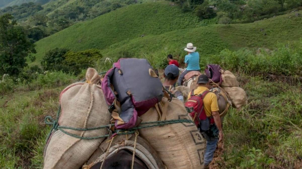 En las cuatro comunas de Nariño ni siquiera la Semana Santa se puede celebrar en paz; Se registró el desplazamiento de 81 familias indígenas y campesinas

 – Primer plano