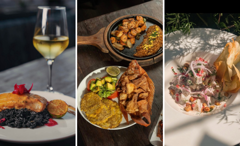 un nuevo establecimiento gastronómico y cultural que pretende atraer turismo y ampliar la oferta en Cartagena

 – Primer plano