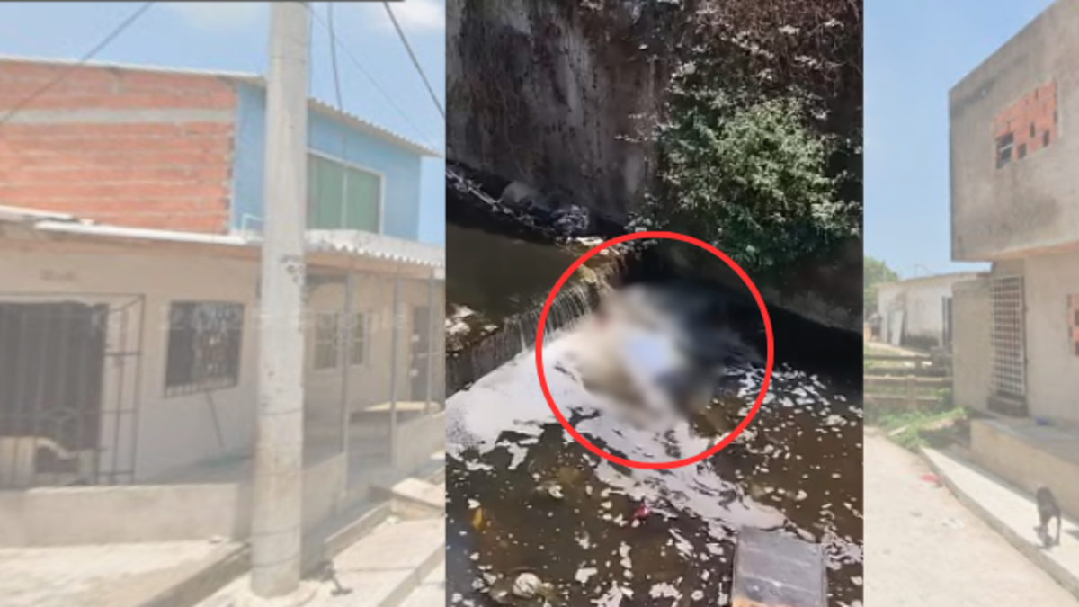 Se conoce conmoción tras hallazgo de cuerpo flotando en un arroyo entre La Pradera y Los Olivos

 – Primer plano