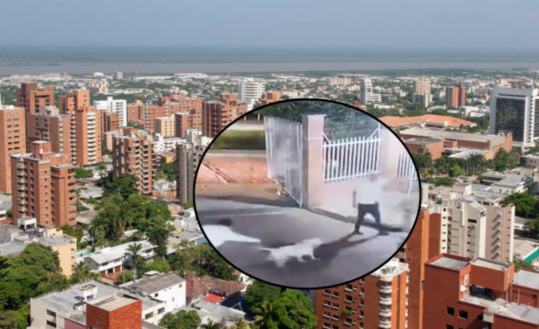 pitbull mata a un yorkie en un complejo de apartamentos; la familia anuncia acciones legales

 – Primer plano