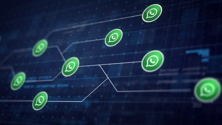 WhatsApp permite nombres de usuario en Colombia y eso es todo lo que necesitas saber

 – Primer plano